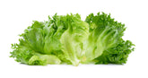 Ansalaato (lettuce) 1Kg.